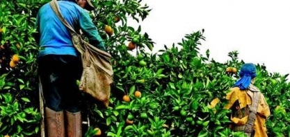 Em 2017, PIB cresce, mas agronegócio tem menos ocupados