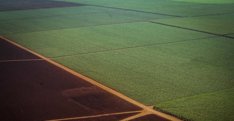 Preço do açúcar pode reverter pressão de baixa ainda na safra 18/19 