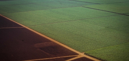Preço do açúcar pode reverter pressão de baixa ainda na safra 18/19 