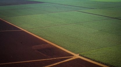 Preço do açúcar pode reverter pressão de baixa ainda na safra 18/19 