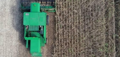 Falta rumo às pesquisas da Embrapa, dizem especialistas