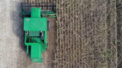 Falta rumo às pesquisas da Embrapa, dizem especialistas