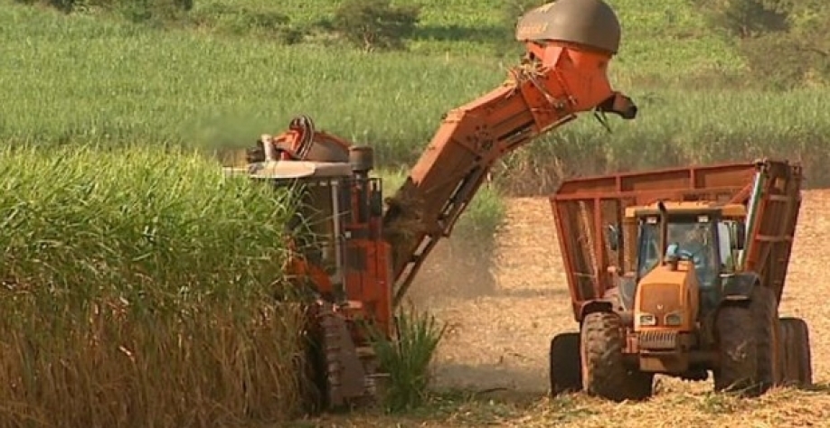 Com menor moagem de cana, Centro-Sul do Brasil focará no etanol em 18/19