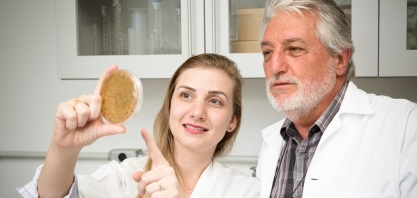 Descoberta levedura que pode auxiliar a produção de etanol de 2ª geração