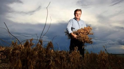 Embrapa perde relevância para o agronegócio