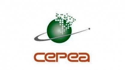 Etanol: Hidratado cai 2,21% e anidro recua 1,10% nas usinas  