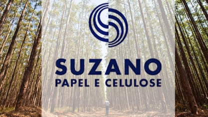 Suzano tem alta de 81% no lucro do 1º tri 