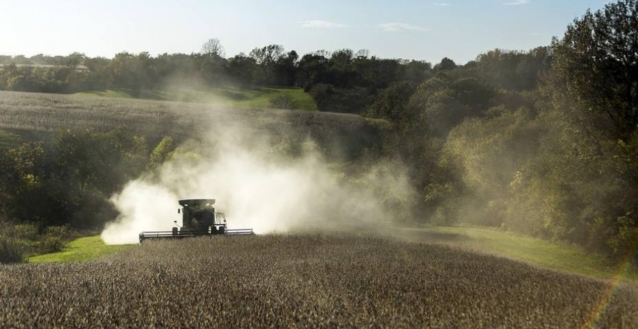 Fazenda produtora de soja nos EUA, agora ameaçada pela guerra comercial 