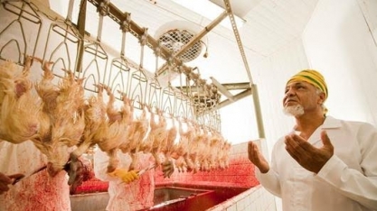  Brasil gastará mais com frango para atender sauditas