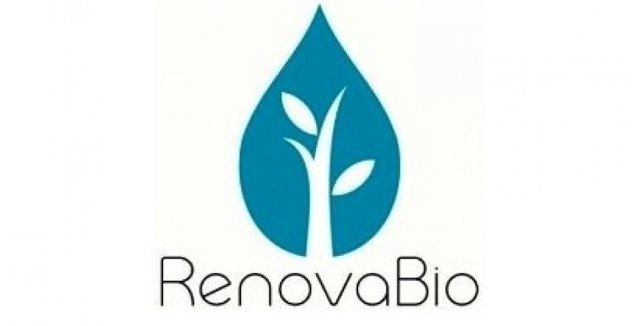  Governo quer atrair investidor estrangeiro ao RenovaBio  