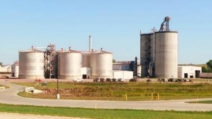 Biorrefinarias entram no foco de DSM e Amyris