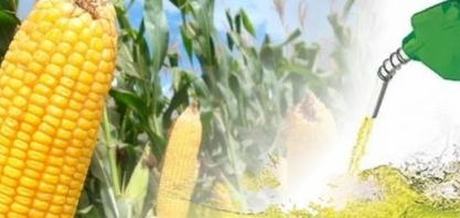 Exportação de etanol dos EUA para Brasil atinge recorde em fevereiro  