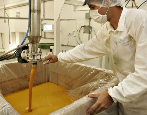 Brasil elevará exportação de suco de laranja em mais de 20% em 17/18