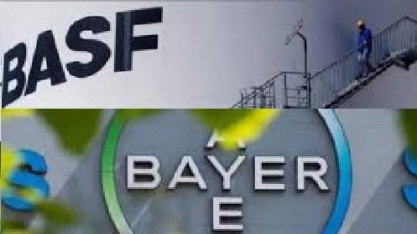 Basf ampliará pesquisas com sementes da Bayer, diz próximo CEO