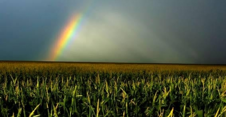 Chuvas na 2ª quinzena de abril aliviam preocupações sobre safra de milho