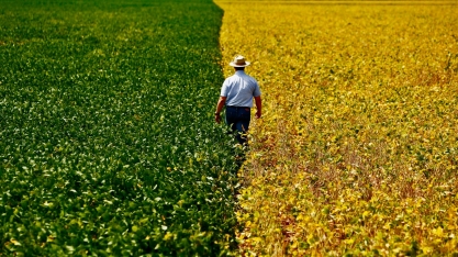 Saldo comercial do agronegócio alcança US$ 7,79 bilhões em março 