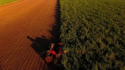 Cadeia da cana se retrai e faz PIB do agronegócio paulista diminuir 3,8%
