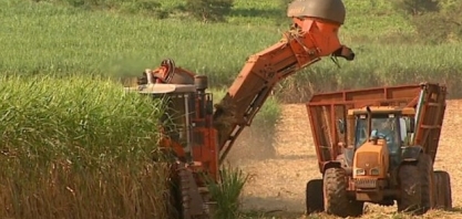 Reativação de duas usinas vai gerar 2.000 empregos diretos 