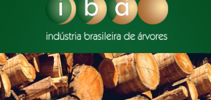 Produção brasileira de celulose cresce 18,4% em fevereiro, diz Ibá 