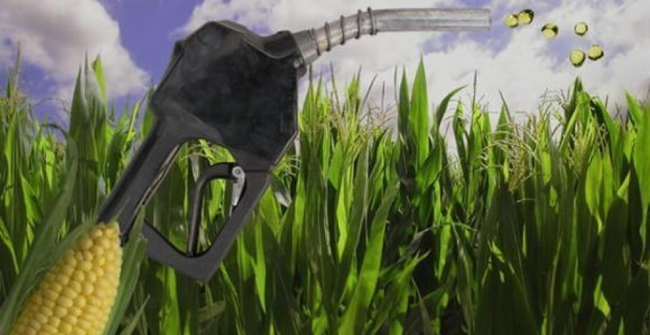 Etanol: Recorde de importações em março, mesmo com receita menor 