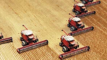 Com safra recorde, Brasil se aproxima da liderança na soja 