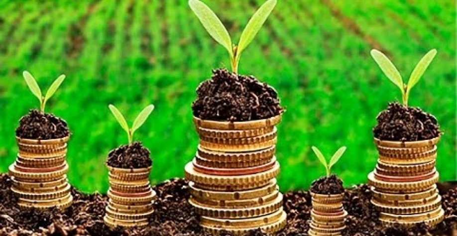 Temer edita MP que prorroga prazo de adesão ao Funrural até 30 de outubro