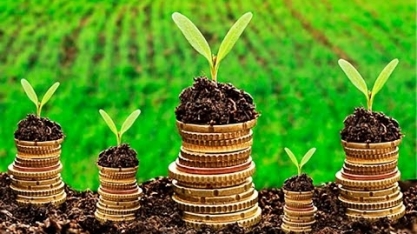 Temer edita MP que prorroga prazo de adesão ao Funrural até 30 de outubro