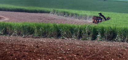 Moagem cresce 10,5% e produção de etanol avança 39,3% 