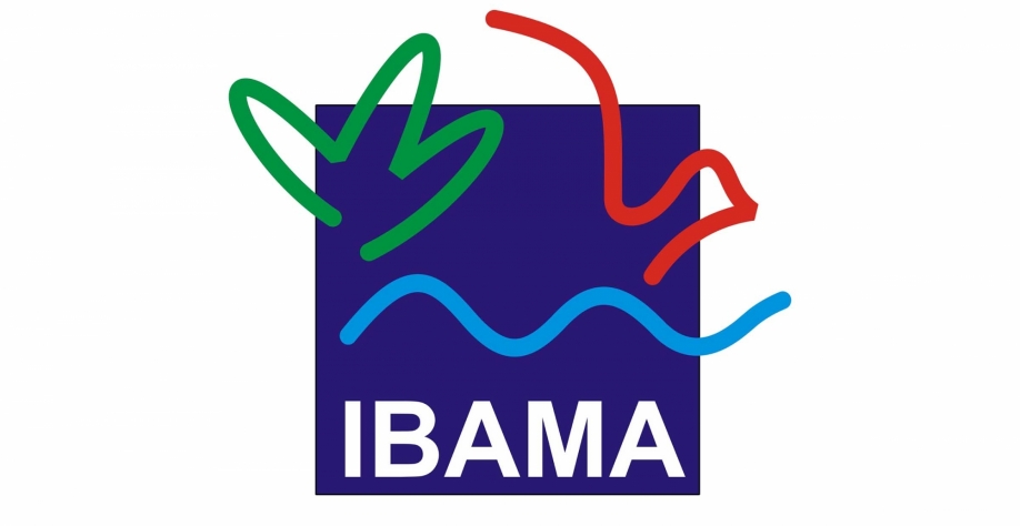 Desmatamento gera multa a tradings