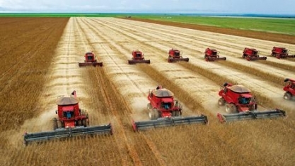 Alta do dólar traz renda ao campo, mas pode dificultar planejamento