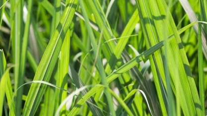 ATR PR: valor projetado sobe 1,60% em maio  