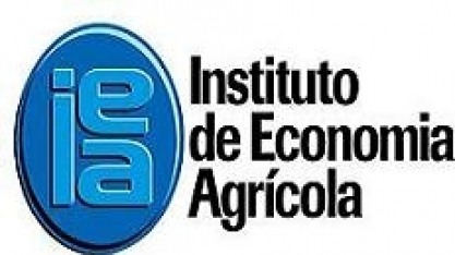 IEA prevê área e produção estável para cana e aumento de 5,6% na laranja