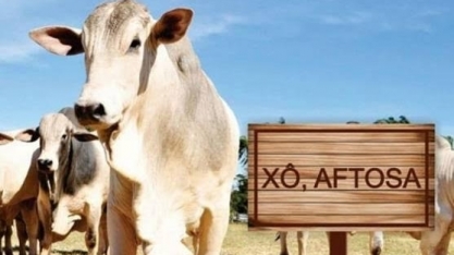 OIE declara Brasil livre de febre aftosa com vacinação