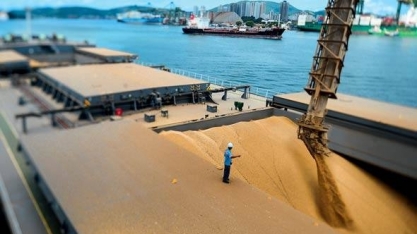 Importações de soja da China devem cair pela 1ª vez em 15 anos 