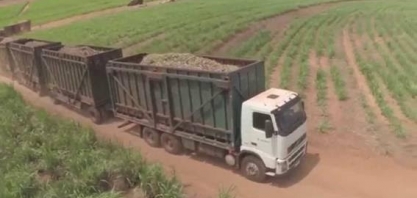 Fórum Sucroenergético: 220 das 340 usinas do Centro-Sul estão paradas