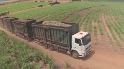 Fórum Sucroenergético: 220 das 340 usinas do Centro-Sul estão paradas