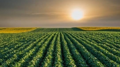 MAPA eleva valor da produção agropecuária do Brasil para R$542 bi em 2018