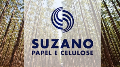 Suzano paralisa produção devido a greve dos caminhoneiros