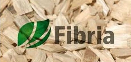 Fibria reduz produção em fábricas em SP e MS 