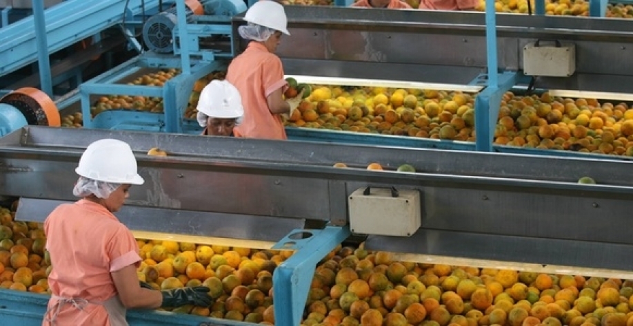 Exportação de suco segue em alta, mas México preocupa 