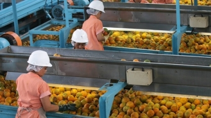 Exportação de suco segue em alta, mas México preocupa 