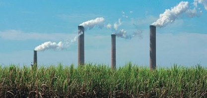  Etanol: Investidores chineses conhecem modelo de produção brasileiro