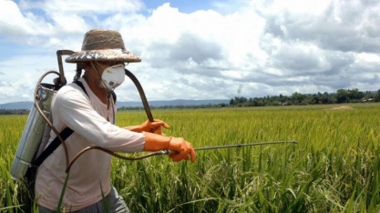 Discussão do Projeto de Lei do Agrotóxico é adiada na Câmara