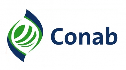 Safra de cana do Centro-Sul deve cair para 580 mi t em 2018/19, diz Conab