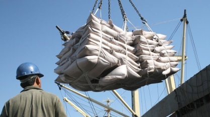 Exportações brasileiras de açúcar e etanol apresentam recuperação 