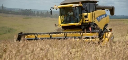 Soja brasileira continua em alta em meio a disputa EUA-China