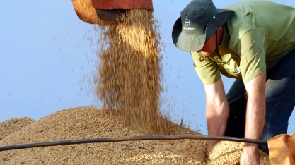 Exportações do agro em maio alcançaram US$ 9,97 bilhões