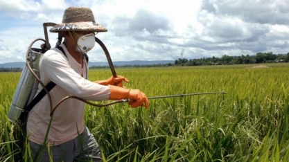 Agrotóxicos: Ruralistas tentam avançar com projeto que flexibiliza regras
