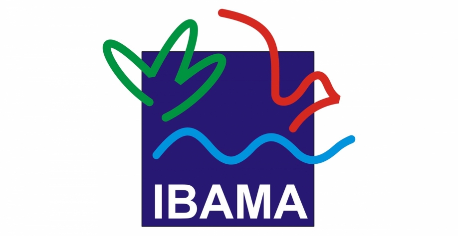 A malha fina do Ibama  