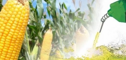 Estudo mapeia reflexos positivos do etanol de milho 